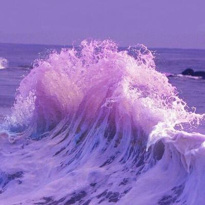 im电竞官网app下载